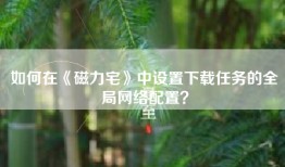 如何在《磁力宅》中设置下载任务的全局网络配置？