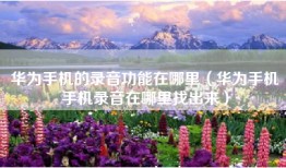 华为手机的录音功能在哪里（华为手机手机录音在哪里找出来）