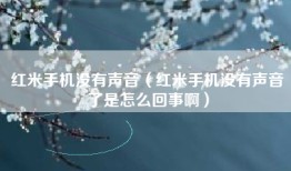 红米手机没有声音（红米手机没有声音了是怎么回事啊）