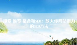 搜索 推荐 聚合和SEO：放大你网站潜力的SEO方法