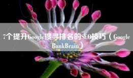 7个提升Google搜寻排名的SEO技巧（Google RankBrain）