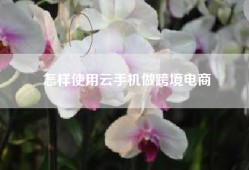 怎样使用云手机做跨境电商