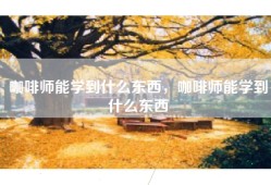 咖啡师能学到什么东西，咖啡师能学到什么东西