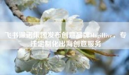 飞书深诺集团发布创意品牌MagiHive，专注定制化出海创意服务