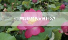 NCD故障码的含义是什么？