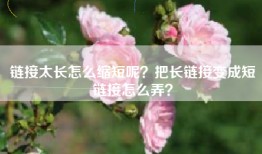 链接太长怎么缩短呢？把长链接变成短链接怎么弄？
