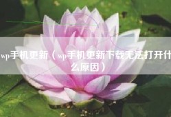 wp手机更新（wp手机更新下载无法打开什么原因）