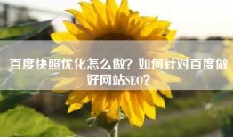 百度快照优化怎么做？如何针对百度做好网站SEO？