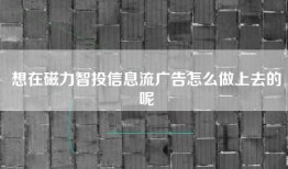 想在磁力智投信息流广告怎么做上去的呢