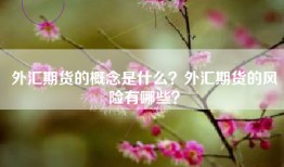 外汇期货的概念是什么？外汇期货的风险有哪些？