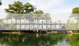 快速排名网站seo快速优化整站搜索引擎关键词自然流量外包推广