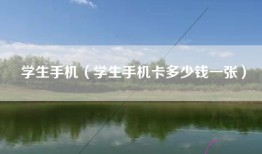 学生手机（学生手机卡多少钱一张）
