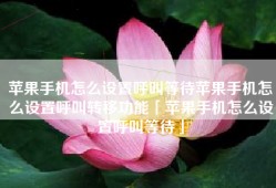 苹果手机怎么设置呼叫等待苹果手机怎么设置呼叫转移功能「苹果手机怎么设置呼叫等待」
