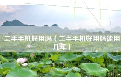 二手手机好用吗（二手手机好用吗能用几年）