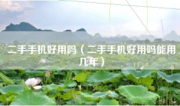 二手手机好用吗（二手手机好用吗能用几年）