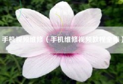 手机视频维修（手机维修视频教程全集）