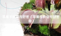 苹果手机信号好差（苹果手机信号好差呀）