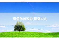 粤语伤感说说(集锦45句)