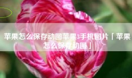 苹果怎么保存动图苹果3手机图片「苹果怎么保存动图」