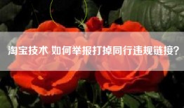 淘宝技术 如何举报打掉同行违规链接？