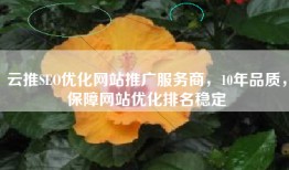 云推SEO优化网站推广服务商，10年品质，保障网站优化排名稳定