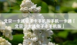 北京一卡通电子卡手机版手机一卡通「北京一卡通电子卡手机版」