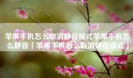 苹果手机怎么取消静音模式苹果手机怎么静音「苹果手机怎么取消静音模式」