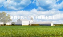 麻将手机（麻将手机版下载）