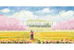 完美的网络推广方案