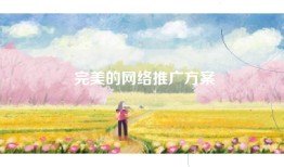 完美的网络推广方案