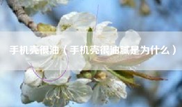 手机壳很油（手机壳很油腻是为什么）