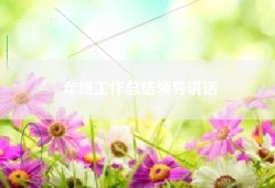 年终工作总结领导讲话