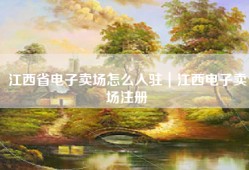 江西省电子卖场怎么入驻｜江西电子卖场注册