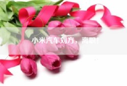 小米汽车刘方，离职！