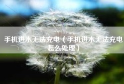 手机进水无法充电（手机进水无法充电怎么处理）