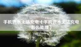 手机进水无法充电（手机进水无法充电怎么处理）