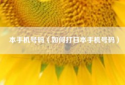 本手机号码（如何打日本手机号码）
