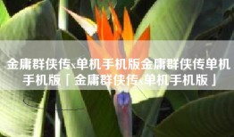 金庸群侠传x单机手机版金庸群侠传单机手机版「金庸群侠传x单机手机版」
