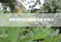 邯郸邯郸县网站建设服务项目
