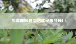 邯郸邯郸县网站建设服务项目
