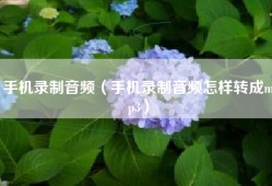 手机录制音频（手机录制音频怎样转成mp3）