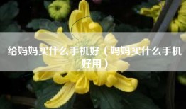 给妈妈买什么手机好（妈妈买什么手机好用）