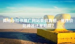 揭秘小红书推广网站低价真相，是性价比神器还是陷阱？