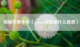 锁版苹果手机（iphone锁版是什么意思）