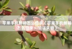 苹果手机邮箱怎么登录（苹果手机邮箱怎么登录163验证失败）