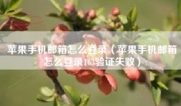 苹果手机邮箱怎么登录（苹果手机邮箱怎么登录163验证失败）