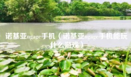 诺基亚ngage手机（诺基亚ngage手机能玩什么游戏）