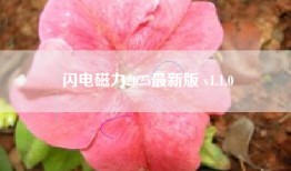 闪电磁力2025最新版 v1.1.0