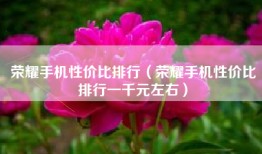 荣耀手机性价比排行（荣耀手机性价比排行一千元左右）