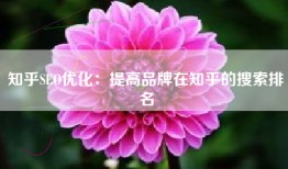 知乎SEO优化：提高品牌在知乎的搜索排名